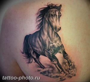 фото тату лошадь 24.12.2018 №335 - photo horse tattoo - tattoo-photo.ru