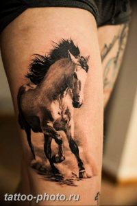 фото тату лошадь 24.12.2018 №337 - photo horse tattoo - tattoo-photo.ru