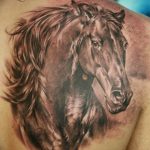 фото тату лошадь 24.12.2018 №338 - photo horse tattoo - tattoo-photo.ru