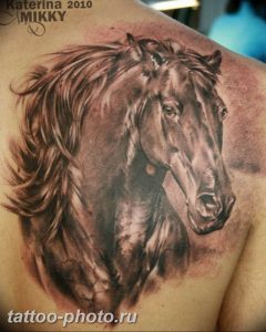 фото тату лошадь 24.12.2018 №338 - photo horse tattoo - tattoo-photo.ru
