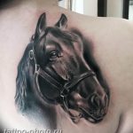 фото тату лошадь 24.12.2018 №342 - photo horse tattoo - tattoo-photo.ru