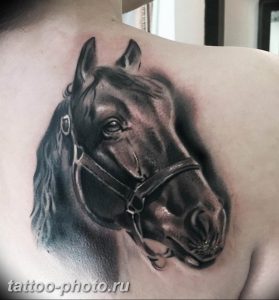 фото тату лошадь 24.12.2018 №342 - photo horse tattoo - tattoo-photo.ru