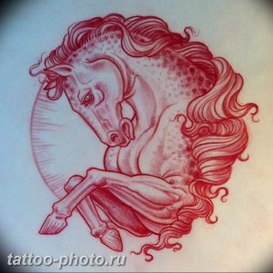 фото тату лошадь 24.12.2018 №344 - photo horse tattoo - tattoo-photo.ru