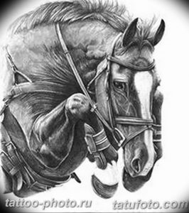 фото тату лошадь 24.12.2018 №355 - photo horse tattoo - tattoo-photo.ru