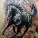 фото тату лошадь 24.12.2018 №360 - photo horse tattoo - tattoo-photo.ru