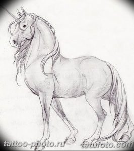 фото тату лошадь 24.12.2018 №366 - photo horse tattoo - tattoo-photo.ru
