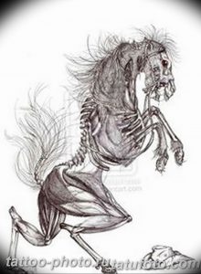 фото тату лошадь 24.12.2018 №368 - photo horse tattoo - tattoo-photo.ru