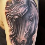 фото тату лошадь 24.12.2018 №369 - photo horse tattoo - tattoo-photo.ru