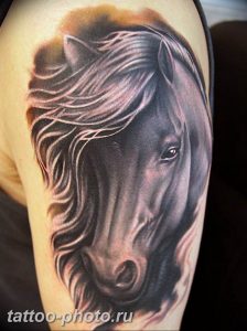 фото тату лошадь 24.12.2018 №369 - photo horse tattoo - tattoo-photo.ru