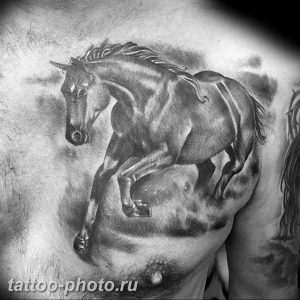 фото тату лошадь 24.12.2018 №372 - photo horse tattoo - tattoo-photo.ru