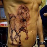 фото тату лошадь 24.12.2018 №375 - photo horse tattoo - tattoo-photo.ru