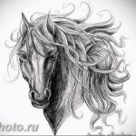 фото тату лошадь 24.12.2018 №379 - photo horse tattoo - tattoo-photo.ru