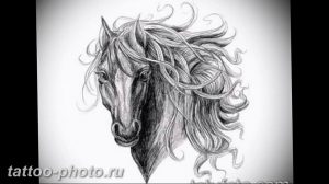 фото тату лошадь 24.12.2018 №379 - photo horse tattoo - tattoo-photo.ru