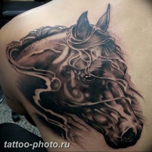 фото тату лошадь 24.12.2018 №383 - photo horse tattoo - tattoo-photo.ru