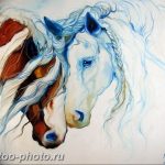 фото тату лошадь 24.12.2018 №384 - photo horse tattoo - tattoo-photo.ru