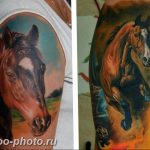 фото тату лошадь 24.12.2018 №385 - photo horse tattoo - tattoo-photo.ru