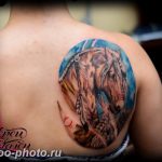 фото тату лошадь 24.12.2018 №386 - photo horse tattoo - tattoo-photo.ru