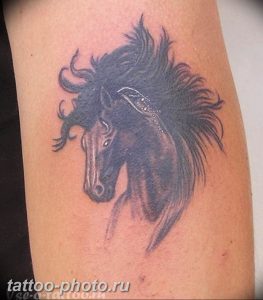фото тату лошадь 24.12.2018 №398 - photo horse tattoo - tattoo-photo.ru