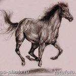 фото тату лошадь 24.12.2018 №399 - photo horse tattoo - tattoo-photo.ru