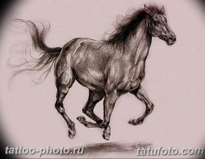 фото тату лошадь 24.12.2018 №399 - photo horse tattoo - tattoo-photo.ru