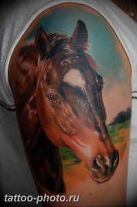 фото тату лошадь 24.12.2018 №403 - photo horse tattoo - tattoo-photo.ru