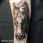 фото тату лошадь 24.12.2018 №408 - photo horse tattoo - tattoo-photo.ru