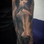 фото тату лошадь 24.12.2018 №411 - photo horse tattoo - tattoo-photo.ru