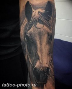 фото тату лошадь 24.12.2018 №411 - photo horse tattoo - tattoo-photo.ru