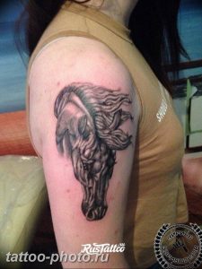 фото тату лошадь 24.12.2018 №413 - photo horse tattoo - tattoo-photo.ru