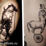 фото тату лошадь 24.12.2018 №421 - photo horse tattoo - tattoo-photo.ru