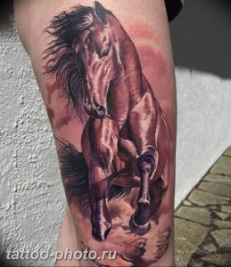 фото тату лошадь 24.12.2018 №423 - photo horse tattoo - tattoo-photo.ru