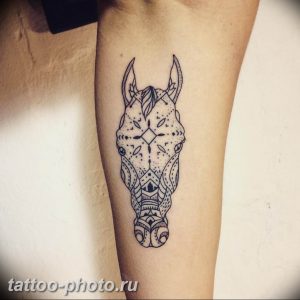 фото тату лошадь 24.12.2018 №424 - photo horse tattoo - tattoo-photo.ru