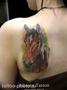 фото тату лошадь 24.12.2018 №425 - photo horse tattoo - tattoo-photo.ru