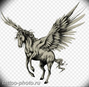 фото тату лошадь 24.12.2018 №431 - photo horse tattoo - tattoo-photo.ru