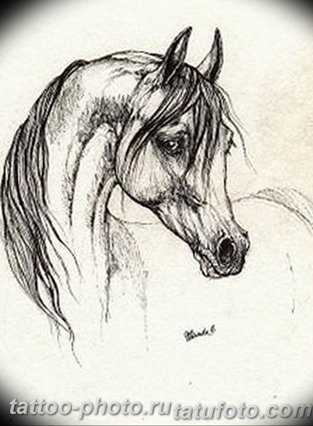 Рисунки к повести конь с розой карандашом