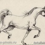 фото тату лошадь 24.12.2018 №439 - photo horse tattoo - tattoo-photo.ru