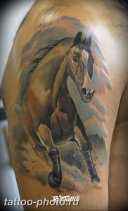 фото тату лошадь 24.12.2018 №440 - photo horse tattoo - tattoo-photo.ru