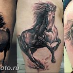 фото тату лошадь 24.12.2018 №446 - photo horse tattoo - tattoo-photo.ru