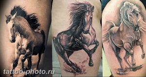 фото тату лошадь 24.12.2018 №446 - photo horse tattoo - tattoo-photo.ru