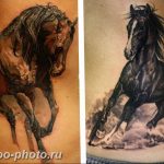 фото тату лошадь 24.12.2018 №447 - photo horse tattoo - tattoo-photo.ru