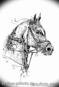 фото тату лошадь 24.12.2018 №448 - photo horse tattoo - tattoo-photo.ru