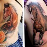 фото тату лошадь 24.12.2018 №451 - photo horse tattoo - tattoo-photo.ru