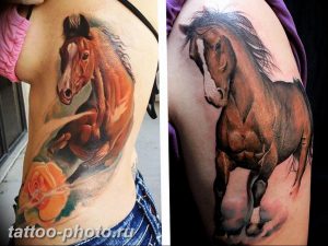 фото тату лошадь 24.12.2018 №451 - photo horse tattoo - tattoo-photo.ru