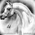фото тату лошадь 24.12.2018 №464 - photo horse tattoo - tattoo-photo.ru