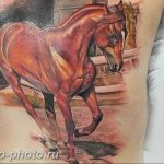 фото тату лошадь 24.12.2018 №466 - photo horse tattoo - tattoo-photo.ru
