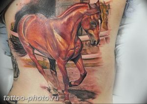 фото тату лошадь 24.12.2018 №466 - photo horse tattoo - tattoo-photo.ru