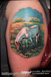 фото тату лошадь 24.12.2018 №468 - photo horse tattoo - tattoo-photo.ru