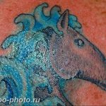 фото тату лошадь 24.12.2018 №469 - photo horse tattoo - tattoo-photo.ru