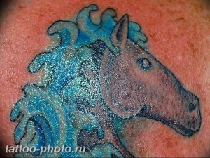 фото тату лошадь 24.12.2018 №469 - photo horse tattoo - tattoo-photo.ru