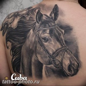 фото тату лошадь 24.12.2018 №470 - photo horse tattoo - tattoo-photo.ru